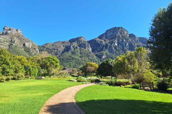 Nature activities in Cape Town