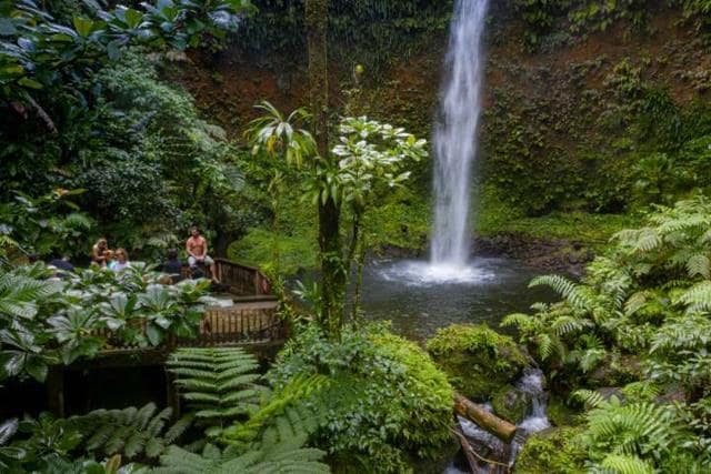 Discover Hidden Waterfalls and Trails at Dominica’s HikeFest 2026