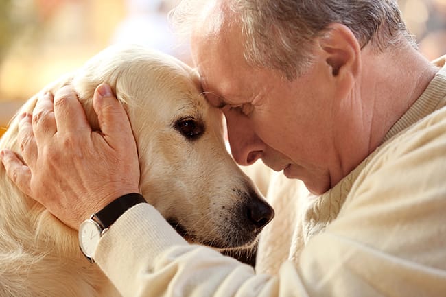 Why Owning a Dog Is Good for Your Mental Health