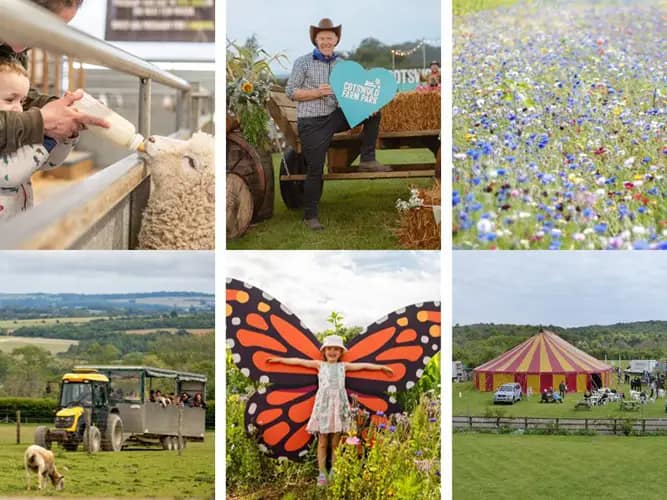 Make the Most of the Jam-Packed Summer at Cotswold Farm Park 
