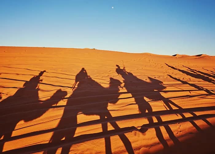 Morocco’s Imperial Cities & Sahara Deserts: A Journey Through Timeless Beauty