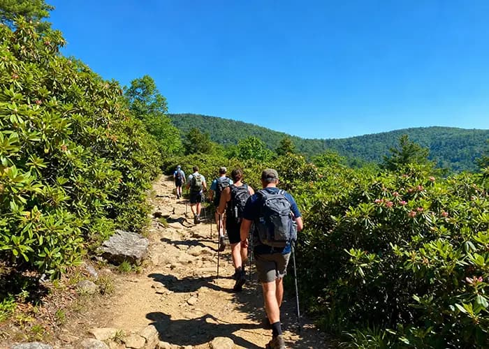 Explore the Smokies: Outdoor Adventures You Can’t Miss