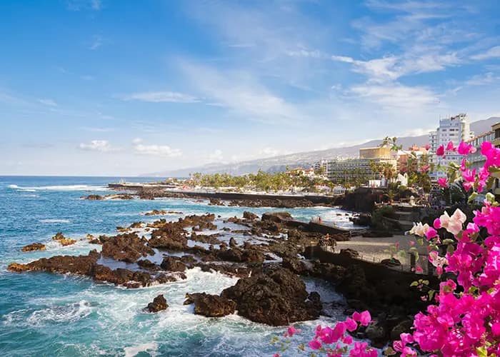 The Real, Raw, and Ridiculously Fun Things to Do in Tenerife