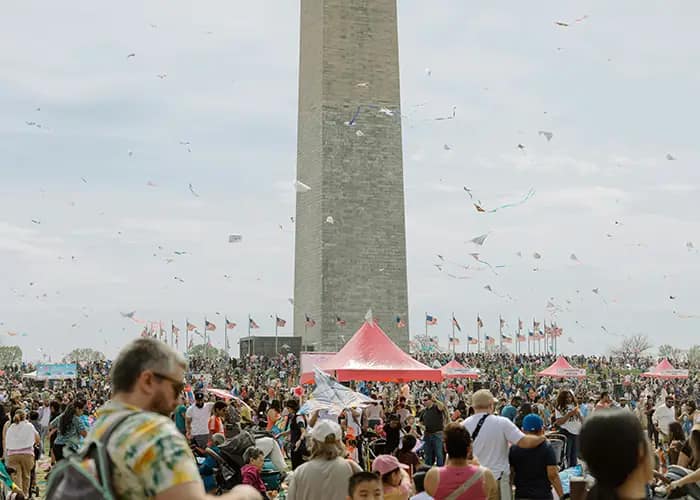 Top Spots for Craft Beer Lovers in DC