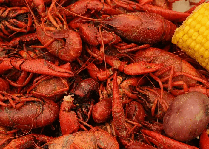 The Roots of Southern Food & the Bounty of the Sea
