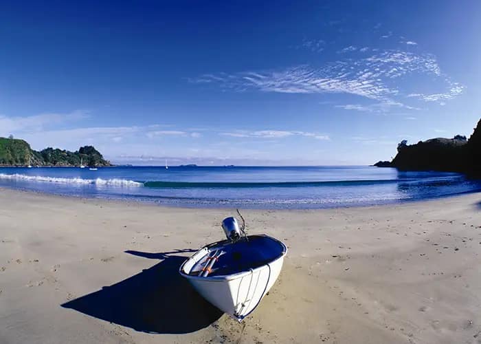 A 24-Hour Escape to Waiheke Island, New Zealand