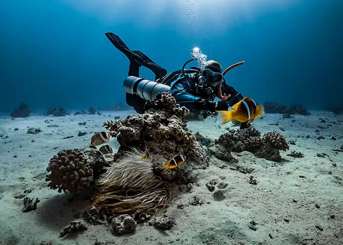 9 Things That Matter More Than Visibility When Choosing a Dive Destination