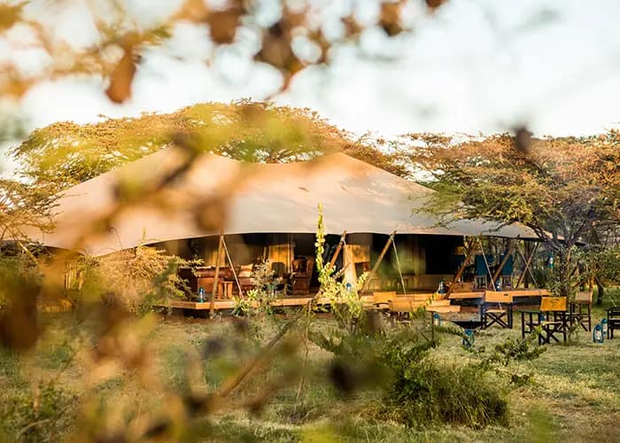 Great Plains Introduces New Experiences at Mara Expedition Camp, Kenya