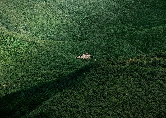 9 Nature-Led Design Hotels Worth Planning a Trip Around
