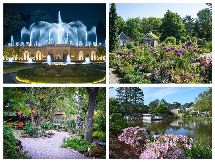 4 Must-Visit Botanical Gardens Across the U.S.