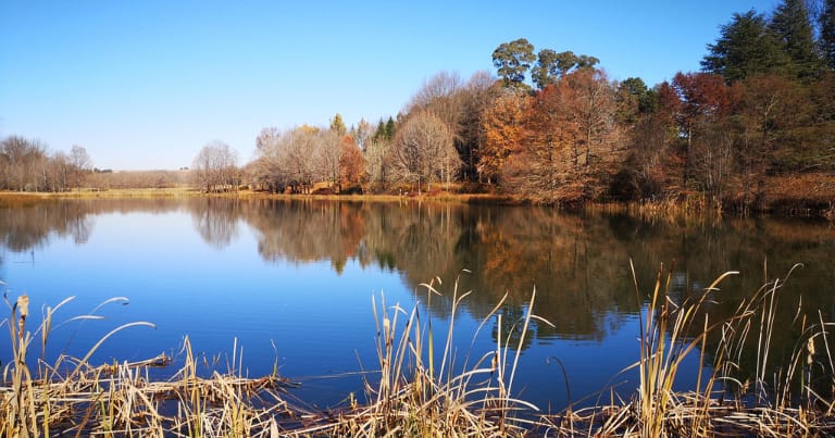 12 things to do in and around Underberg for the best getaway