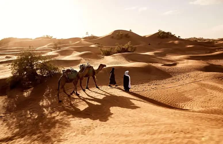Saudi Tourism Boom Rolls On: More than 100 Million Visits for a Second Year Running