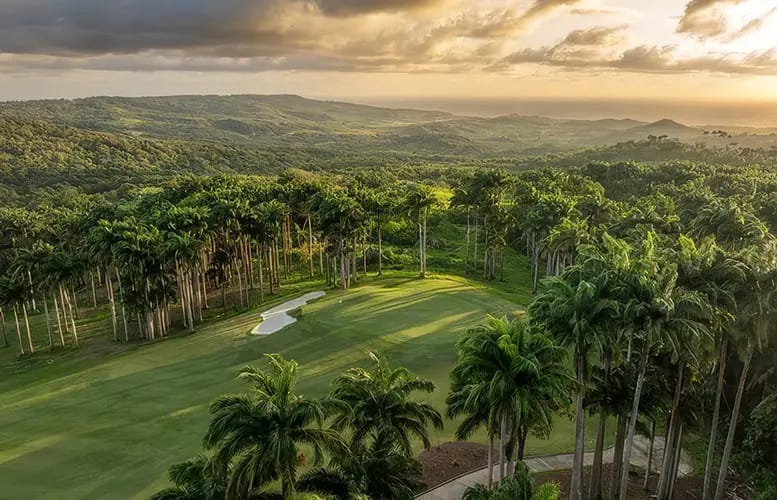What’s New in Barbados for Canadian Visitors  