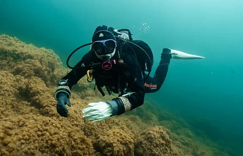 Halifax: The Unlikely Dive Destination for Women Seeking Cold-Water Adventures 