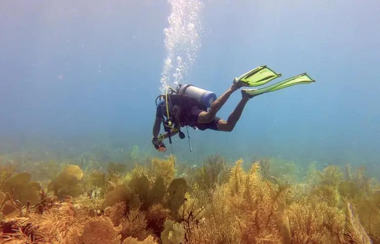 “Diving” into Anguilla’s New Tourism Policy