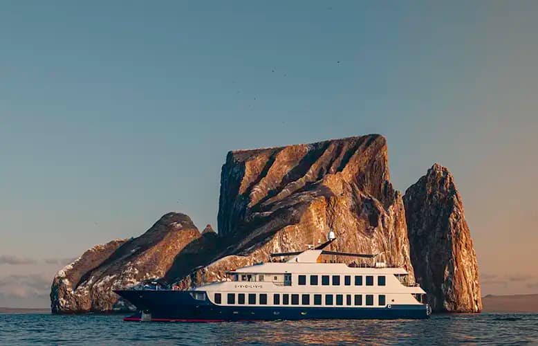 Ecoventura Announces New 2025 Themed Departures Available Onboard their Mega-Yacht Expedition Fleet