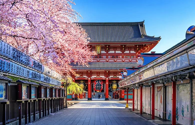Where to Stay in Tokyo: The Ultimate Guide for Every Traveler