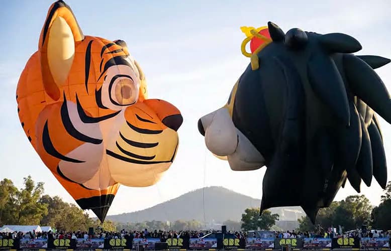 Colorful Balloons Dazzle the Skies Above Australia’s Capital City