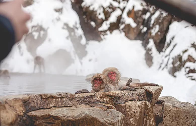 The Best Holiday Destinations for Unique Things to Do