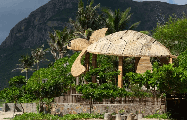 Six Senses Con Dao Commits to Turtle Conservation for World Turtle Day 2025