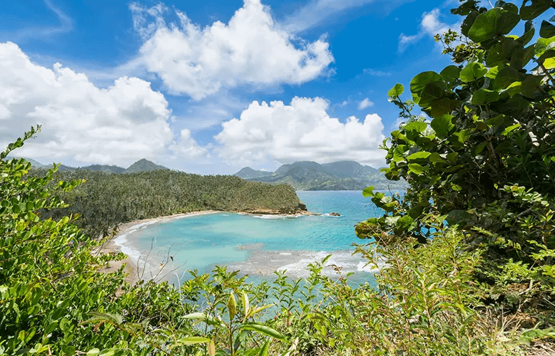 United Airlines Expands Nonstop Service to Dominica