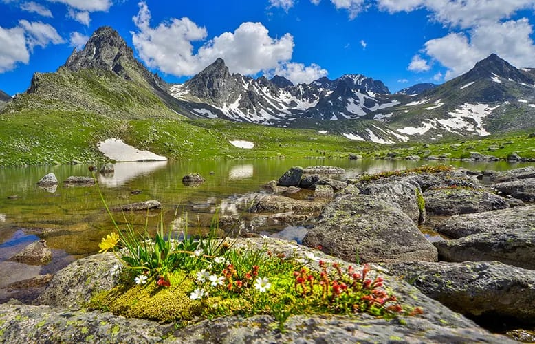 The ‘Coolcation’ Trend With Three Refreshing Adventures At Türkiye’s Black Sea