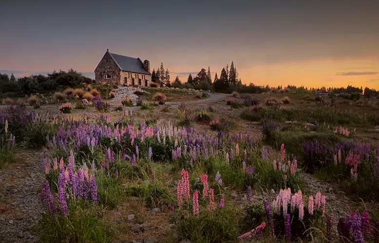 Explore the Best of New Zealand: Must-Do Experiences & Must-See Spots