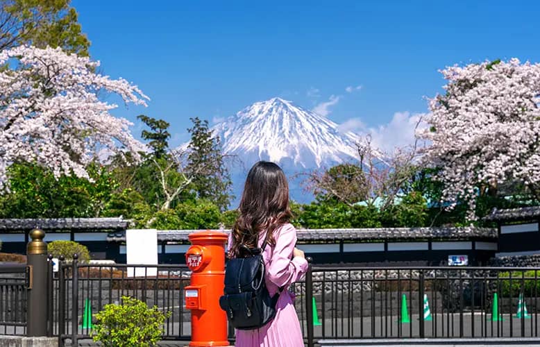 Solo Travel Surge: Japan, Thailand, and Costa Rica Lead in U.S. Search Trends
