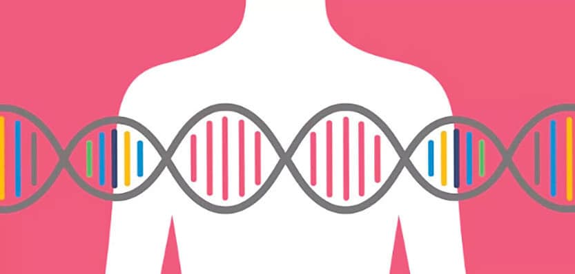 Menopausal Hormone Therapy May Not Pose Breast Cancer Risk for Women With BRCA Mutations