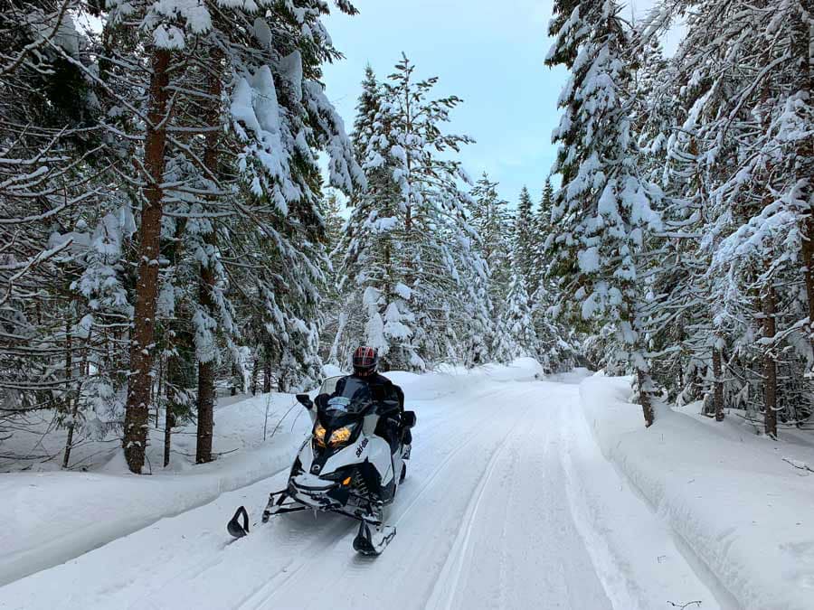 Quebec’s Best Winter Experiences: From Dog Sledding to Nordic Spas